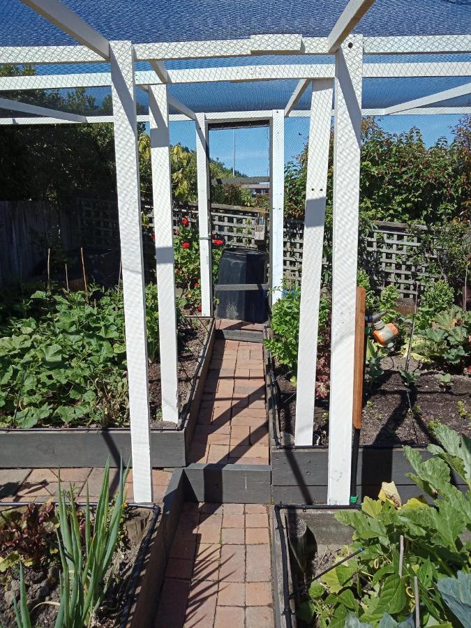 Bed and Breakfast Moana View Picton Esterno foto